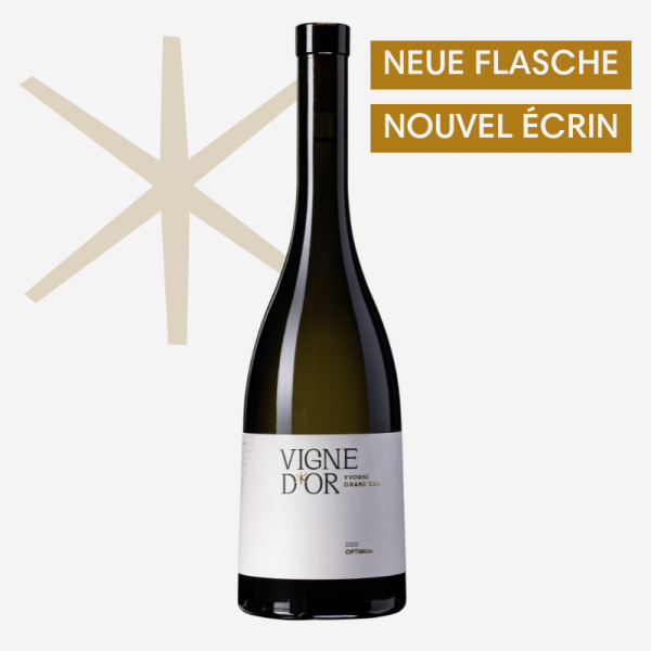 Yvorne Vigne d'Or Chasselas Optimum Chablais AOC élevé en amphore