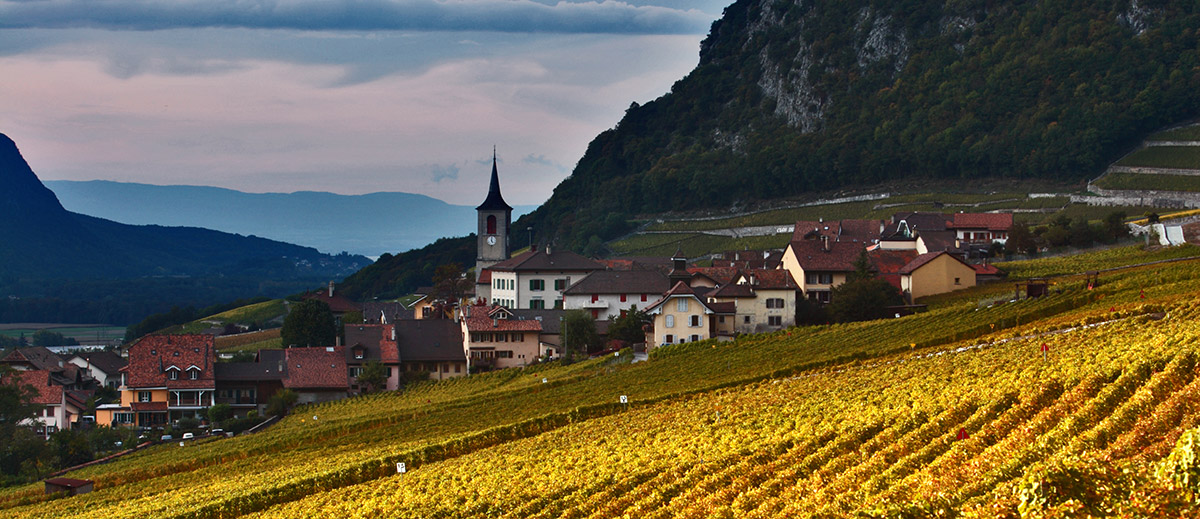 Artisans Vignerons d'Yvorne