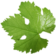 Feuille