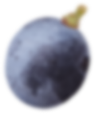 Raisin