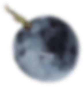 Raisin